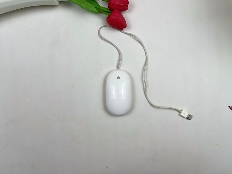 Genuine Apple USB Wired Optical Mouse, used