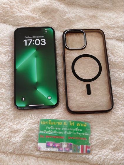 256 GB iPhone 13 Pro Max 256GB Alpine Green
