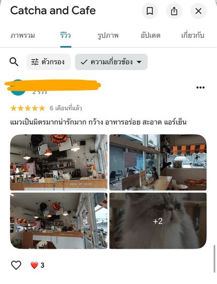 ส่งต่อ คาเฟ่แมวอันดับหนึ่งในเขตบึงกุ่ม  รูปที่ 18