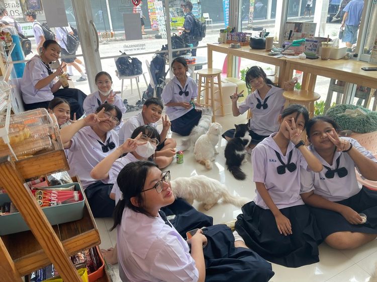 ส่งต่อ คาเฟ่แมวอันดับหนึ่งในเขตบึงกุ่ม  รูปที่ 10