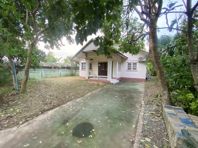 มีบางส่วน ขายบ้านเดี่ยวชั้นเดียว บ้านใหม่ 92 ตร.ว. พร้อมเฟอร์นิเจอร์ครบ เข้าอยู่ได้ทันที ซอย รร.บ้านใหม่ บางใหญ่ นนทบุรี รูปที่ 2