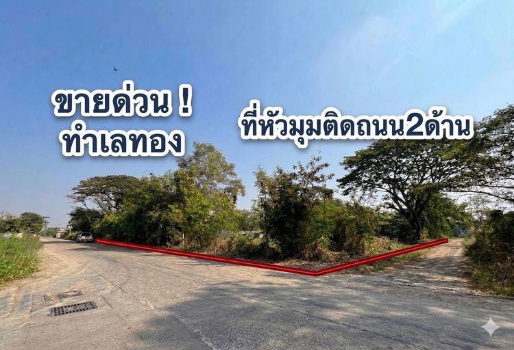 ขายที่ดินแปลงมุม 2 ไร่ คลองหลวง ใกล้ตลาดไท ติดถนน 2 ด้าน