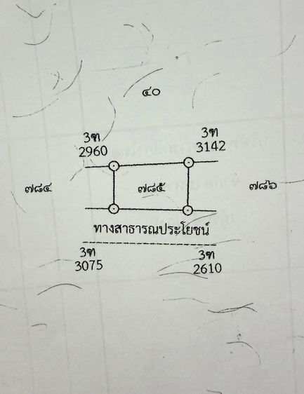 ขายที่ดิน1งาน50ตารางวา รูปที่ 3