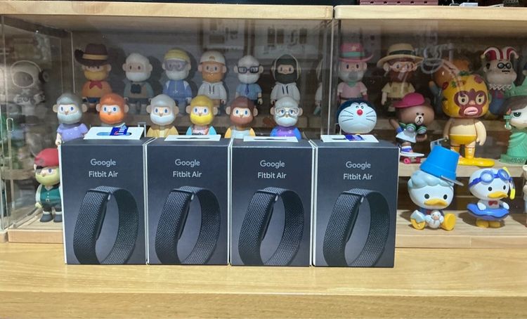 Google Fitbit Air