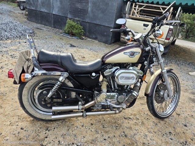 harley davidson sporter ครบรอบ95ปี สพม