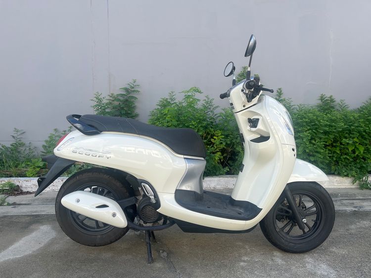 Honda scoopy ปี 2022