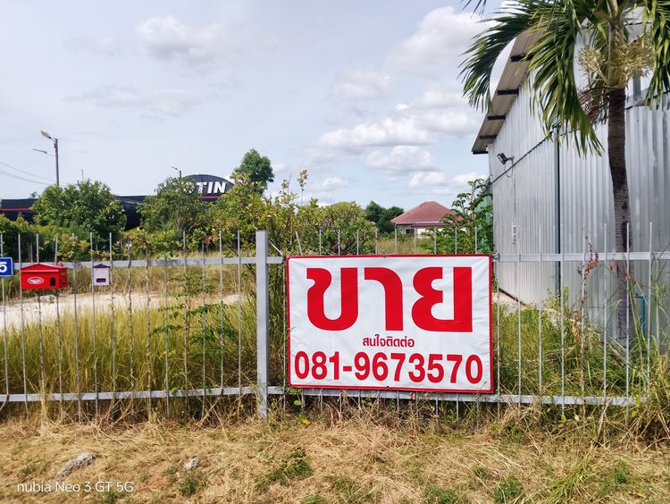 ที่ดินเปล่า ถมแล้ว  รูปที่ 4