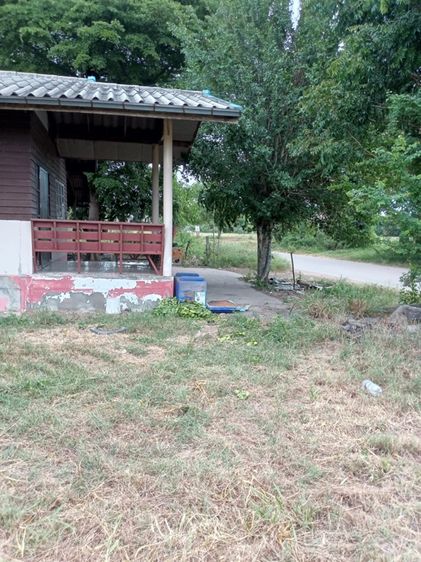 ให้เช่าบ้าน พร้อมที่ดิน 300 ตร.ว.