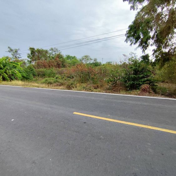 ขายที่ดินสวยๆ รูปที่ 3
