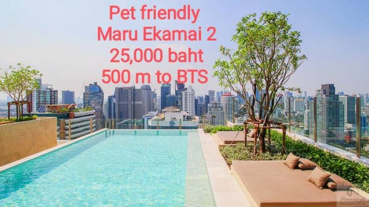 Maru Ekkamai 2 - BTS Ekamai (500 ม.)  Pet Friendly   -  คอนโดมารุ เอกมัย 2