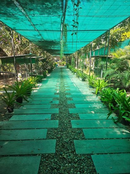 ขายที่ดินบรบือ สารคาม รูปที่ 3
