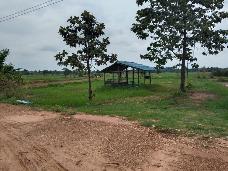 ที่ดิน 6 ไร่ อำเภอบ้านฝาง