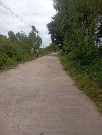 ที่ดินบ้านหนองหลุบ รูปที่ 2