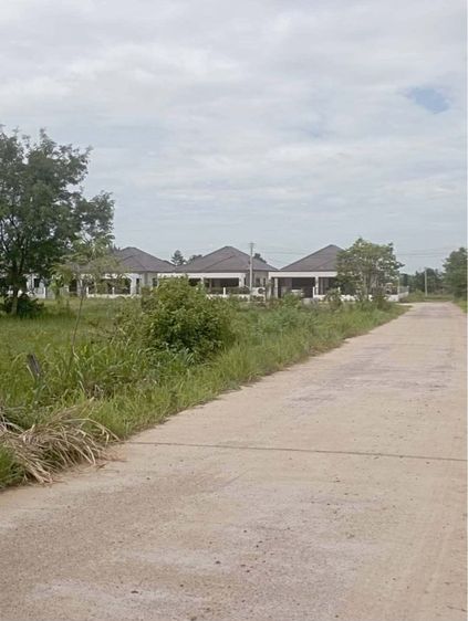 ที่ดินบ้านหนองหลุบ รูปที่ 3
