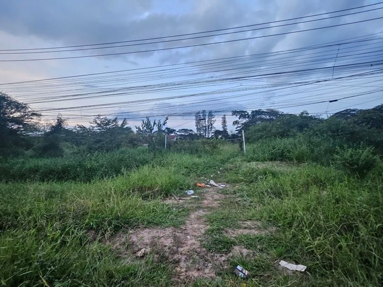 ที่ดินติดถนนมะลิวัลย์