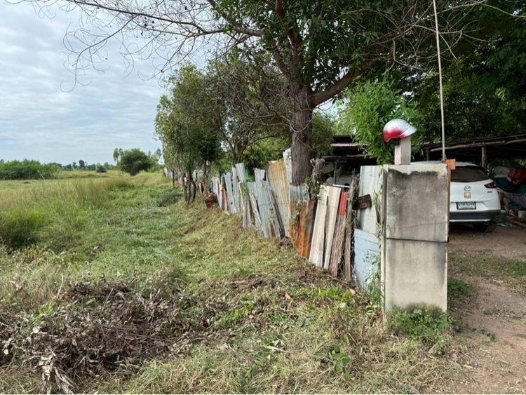 ที่ดินอำเภอบ้านฝางจังหวัดขอนแก่น รูปที่ 3