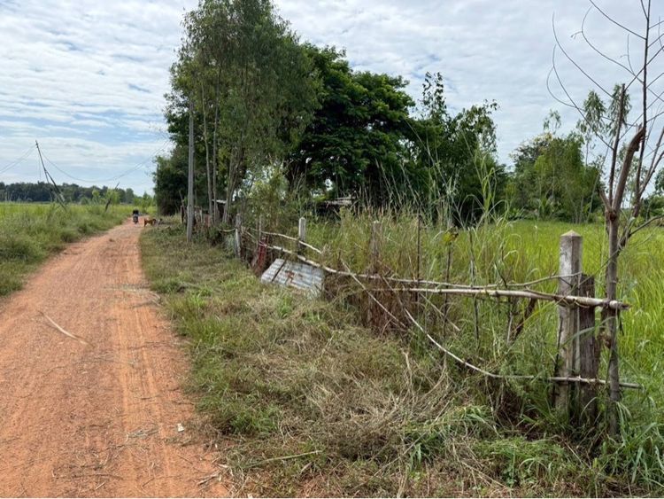 ที่ดินอำเภอบ้านฝางจังหวัดขอนแก่น