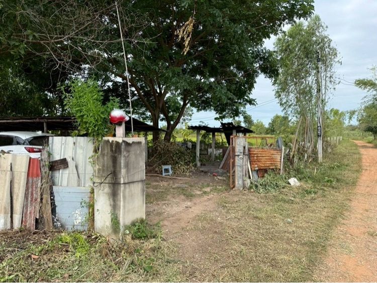 ที่ดินอำเภอบ้านฝางจังหวัดขอนแก่น รูปที่ 2