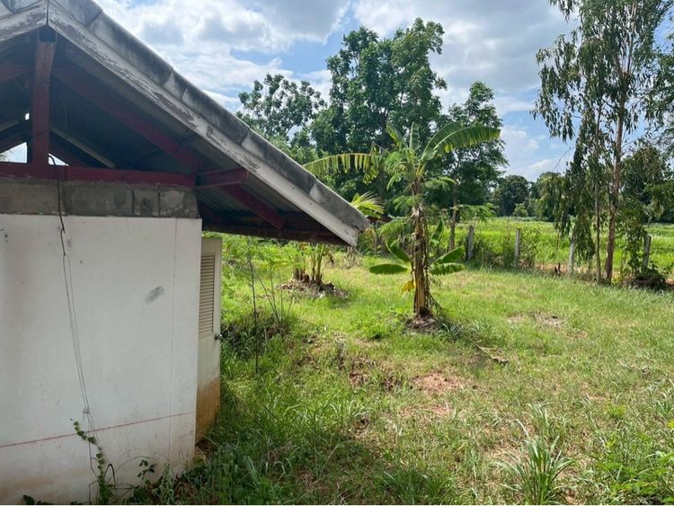 ที่ดิน บ้านสวน 11 ไร่ ไร่บ้านฝาง รูปที่ 4