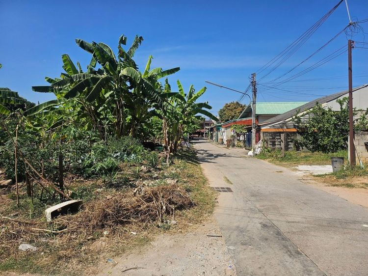 ที่ดินติดบึงทุ่งสร้างซอยลาดคนึง 29 รูปที่ 3