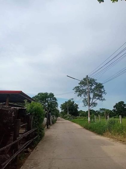 ที่ดินถนนมิตรภาพ รูปที่ 4