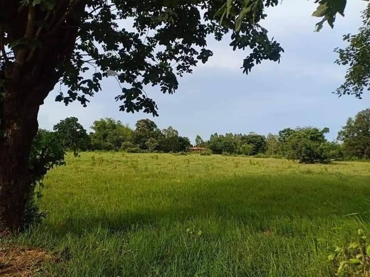 ที่ดินถนนมิตรภาพ รูปที่ 3