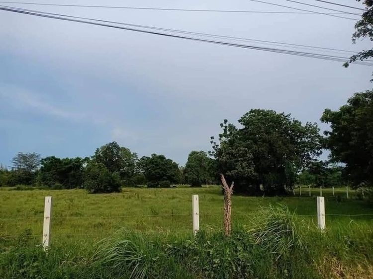 ที่ดินถนนมิตรภาพ รูปที่ 2