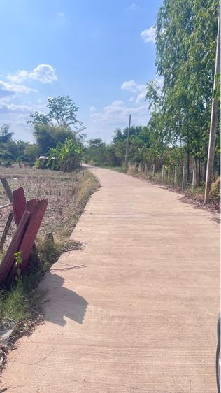 ที่ดินแถวบึงหนองโคตร รูปที่ 4