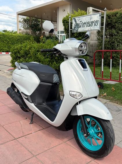 HONDA GIORNO ปี24