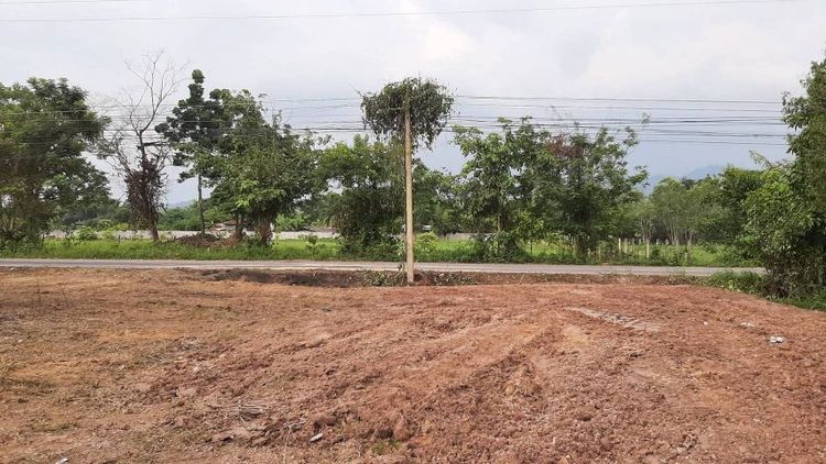 ไม่ใช่ ขายบ้านพร้อมที่ดินติดถนน 2ไร่ รูปที่ 3