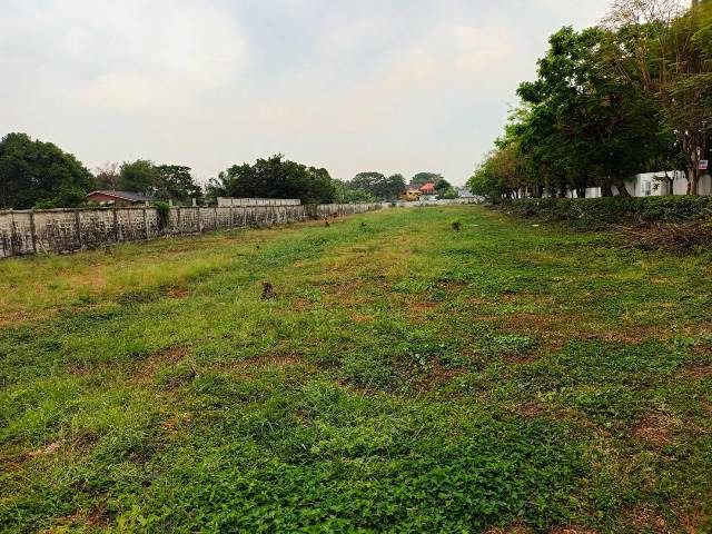 ขายที่ดินในซอยสุขาภิบาล5 ซอย82 รูปที่ 2
