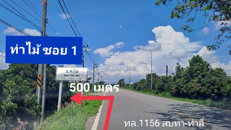 ไม่ใช่ เจ้าของขายเองบ่อปลาสวนผสม ใกล้ปิงโค้ง ห่างทางหลวงสบทา-ท่าลี่เพียง 600 เมตร รูปที่ 2
