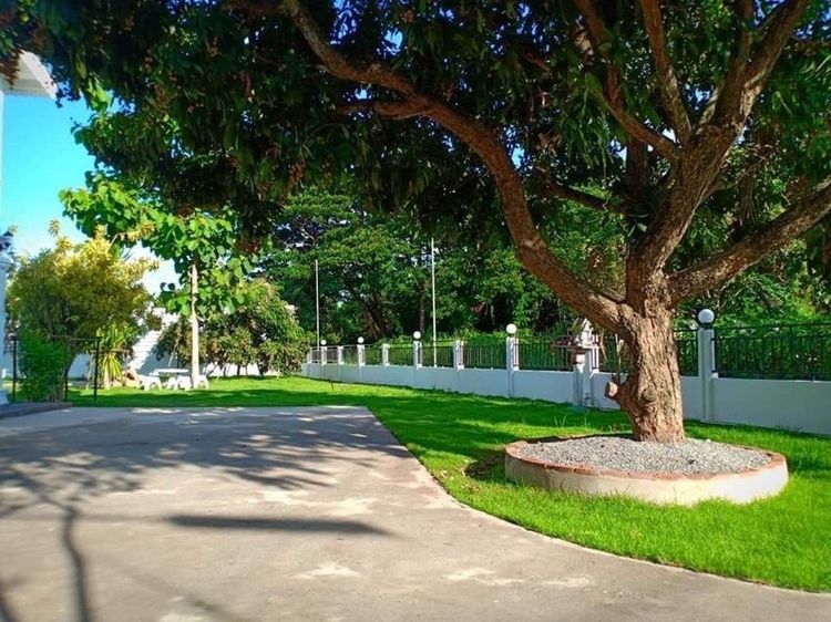 มีบางส่วน ใช่ บ้านสวย บรรยากาศร่มรื่น บนพื้นที่กว้าง ราคาคุ้มเกินคุ้ม รูปที่ 3