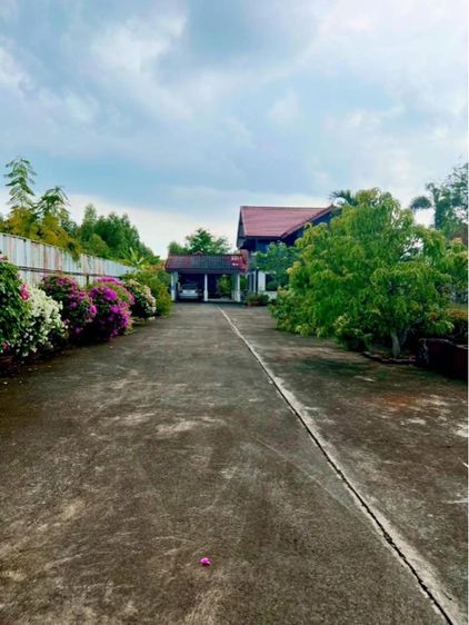 ไม่ใช่ บ้านพร้อมที่ดิน 3 ไร่ บรรยากาศรีสอร์ทส่วนตัว ใกล้ตัวเมืองพนัสนิคม รูปที่ 4