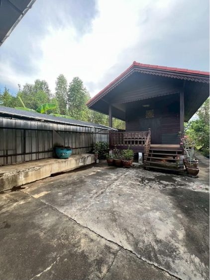 ไม่ใช่ บ้านพร้อมที่ดิน 3 ไร่ บรรยากาศรีสอร์ทส่วนตัว ใกล้ตัวเมืองพนัสนิคม รูปที่ 2