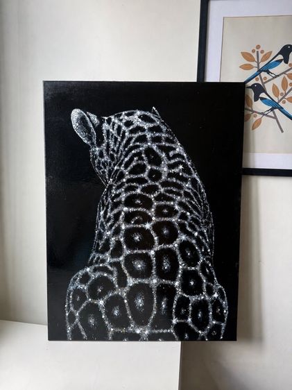  Leopard Crystal Constellation 🐆 รูปที่ 2