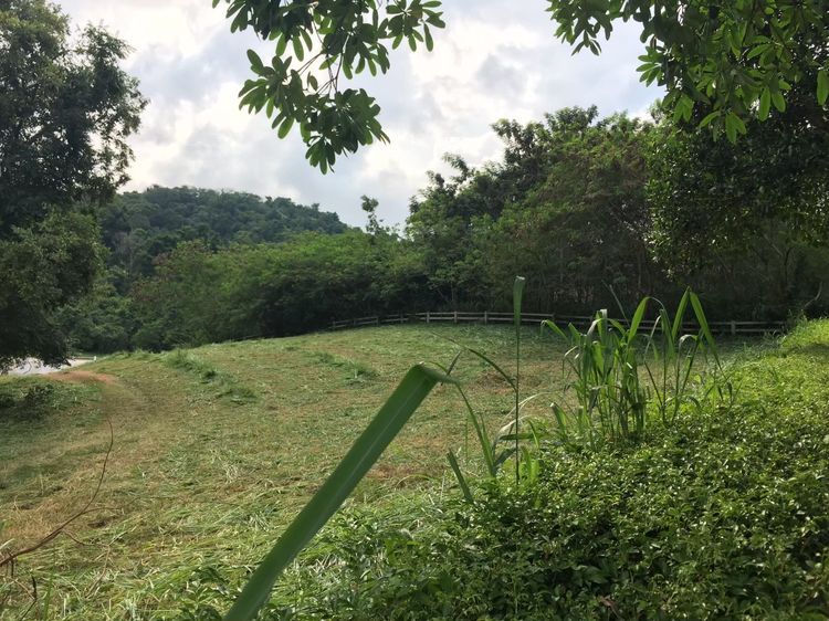ขายที่ดินแรร์ไอเทม(Rare Item) ในสนามกอล์ฟ Sir James Forest Hill มวกเหล็ก สระบุรี วิวภูเขาโอบล้อม บรรยากาศเขาใหญ่ เจ้าของขายเอง รูปที่ 3