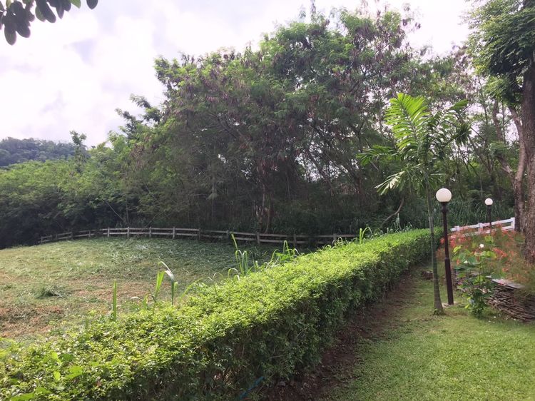 ขายที่ดินแรร์ไอเทม(Rare Item) ในสนามกอล์ฟ Sir James Forest Hill มวกเหล็ก สระบุรี วิวภูเขาโอบล้อม บรรยากาศเขาใหญ่  เจ้าของขายเอง