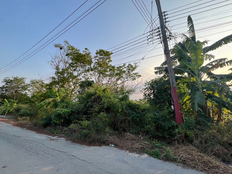 ขายที่ดินเปล่า 150 ตร.วา ใกล้ วัดนราภิรมย์ แอร์ออร์คิด รูปที่ 3