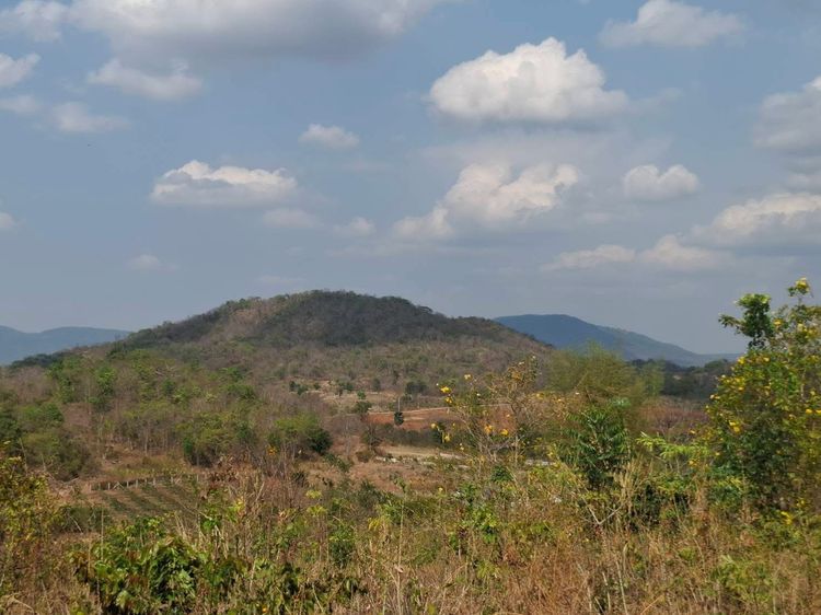 ขายที่ดินสวยเขาใหญ่ รูปที่ 4