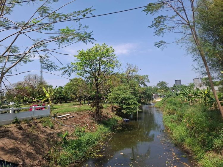 ขายที่ดินสวยเขาใหญ่ รูปที่ 2