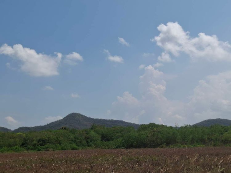 ขายที่ดินสวยเขาใหญ่ รูปที่ 4