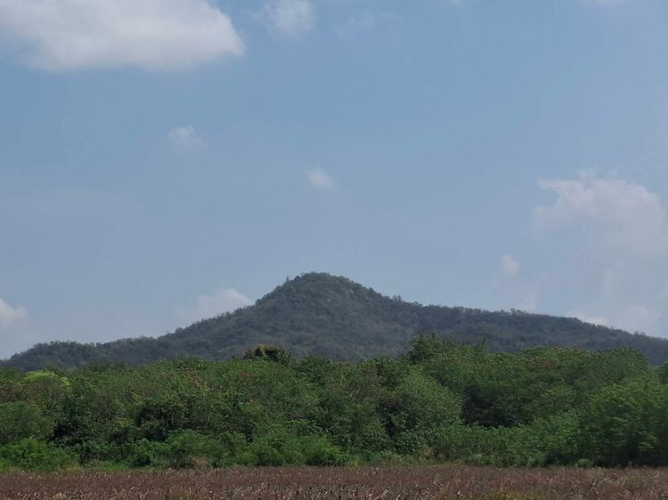 ขายที่ดินสวยเขาใหญ่ รูปที่ 3