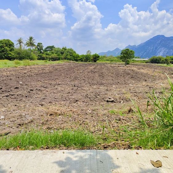 เจ้าของขาย 2 ไร่ 3 งาน เหมาะทำโคกหนองนา บ้านสวน ใกล้ปตท.1.5 กิโล