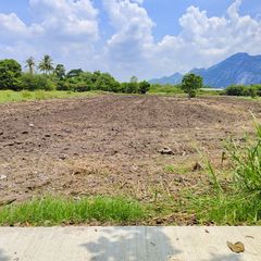 เจ้าของขาย 2 ไร่ 3 งาน เหมาะทำโคกหนองนา บ้านสวน ใกล้ปตท.1.5 กิโล