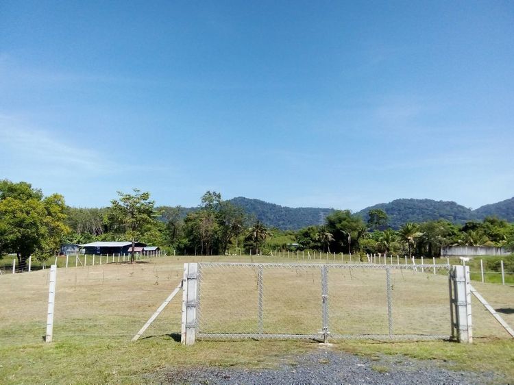 ขายที่ดิน ภูเก็ต 1 ไร่ 3 งาน 63.2 ตรว อ.ถลาง จ.ภูเก็ต ใกล้โลตัสถลาง พื้นที่เขตสีเขียว วิวภูเขาโอมล้อม เหมาะสำหรับ ทำพูลวิลล่า ที่พักหรู