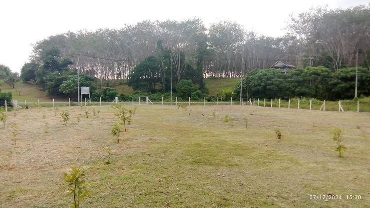 ขายที่ดิน ภูเก็ต 1 ไร่ 3 งาน 63.2 ตรว อ.ถลาง จ.ภูเก็ต ใกล้โลตัสถลาง พื้นที่เขตสีเขียว วิวภูเขาโอมล้อม เหมาะสำหรับ ทำพูลวิลล่า ที่พักหรู
