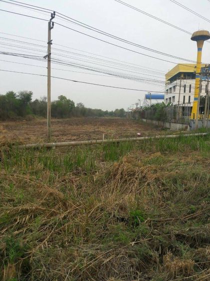 ขายที่ดิน​ ไทรน้อย-นนทบุรี​ ติดบริษัท​วี​เหลี่ยม​ รูปที่ 3