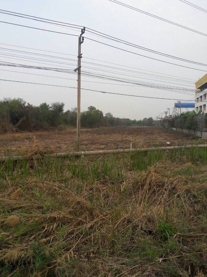 ขายที่ดิน​ ไทรน้อย-นนทบุรี​ ติดบริษัท​วี​เหลี่ยม​ รูปที่ 4