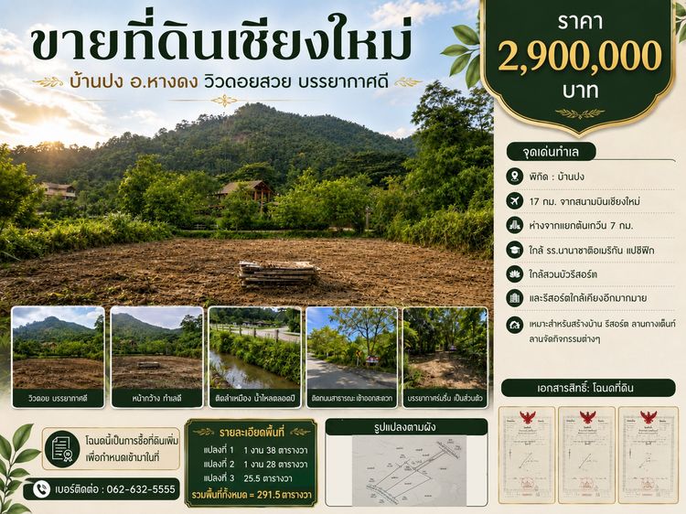 ขายที่เชียงใหม่